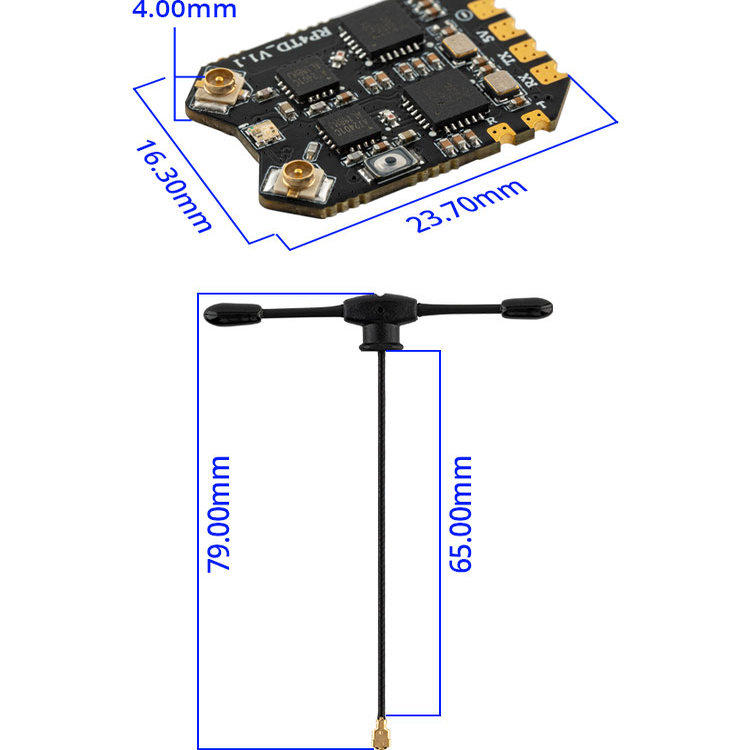 Receptor RadioMaster RP4TD Exp - Drone Buzzer reseña y precio